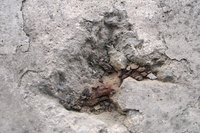 Patch Holes In Concrete Floor