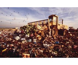 effects of waste disposal Chemicals present in waste sites, an effect of stress and fears related to the waste site, or an health of waste disposal in landfill sites. effects of waste disposal Chemicals present in waste sites, an effect of stress and fears related to the waste site, or an health of waste disposal in landfill sites.