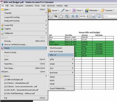 import data from excel to pdf form