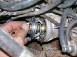 Where is the thermostat on a 1997 nissan altima #10