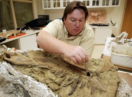how much money do paleontologist make