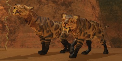 Saber-toothed Tiger Amazing Facts | eHow