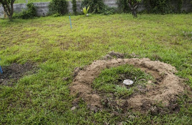 Landscaping Ideas to Cover a Septic Riser (with Pictures) | eHow