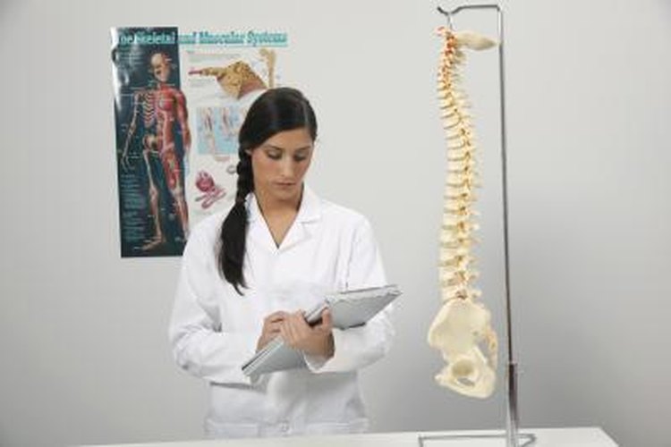 Chiropractic assistant jobs in illinois