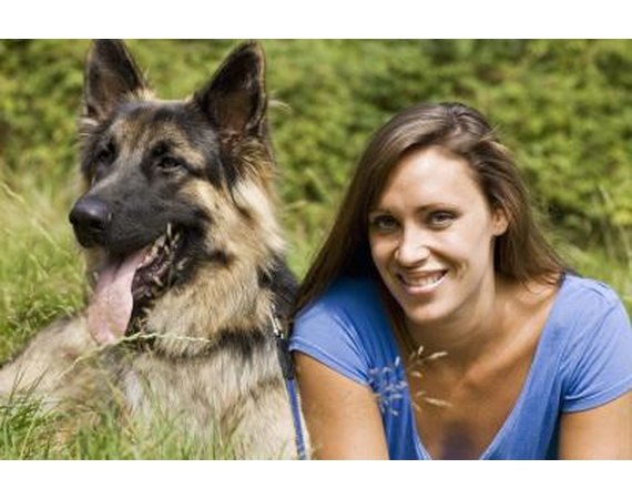 Are German Shepherds Prone to Turn on Their Master?