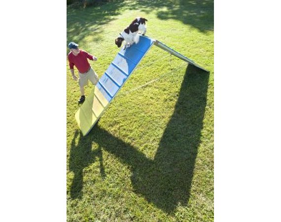 How to Make an Activity Ramp for a Dog