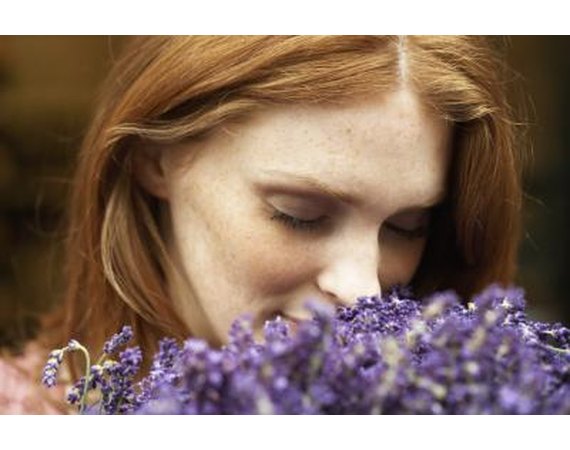 The Estrogenic Effects of Lavender Oil