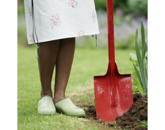 How to Clean Smells From My Clog Shoes With Fur