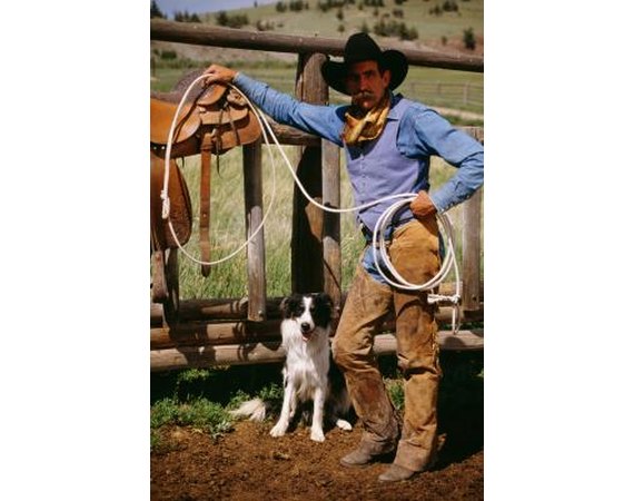 How to Train Border Collies to Herd Without Sheep