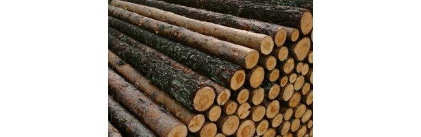 build wood mill
