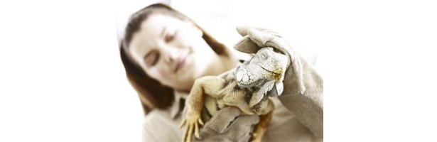 what-is-a-zookeeper-s-annual-salary-ehow