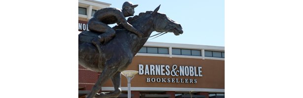 Barnes and Noble offers free access to ebooks inside its stores.