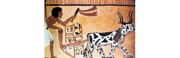 What Did Ancient Egyptian Farmers Eat