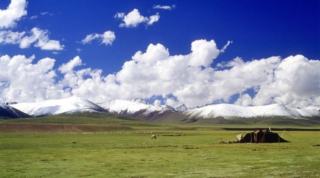 Grassland+Vegetation+Information Information http://www.pic2fly.com/Grassland+Vegetation+Information ...