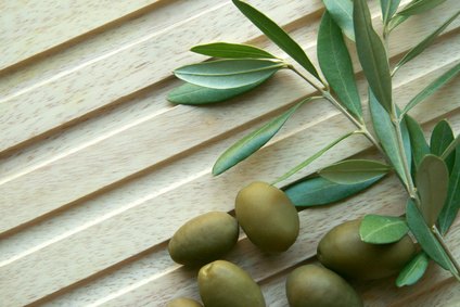 Russian Olive Fruit
