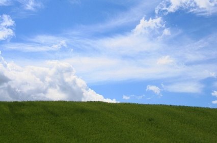 Removing Wallpaper on How To Remove Dell Wallpaper On A Remote Desktop Server Ehow Com