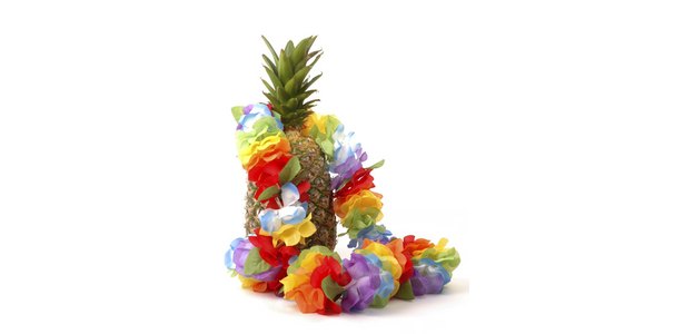 Cool  Technology on Create Homemade Tropical Decorations For Your Hawaiian Party