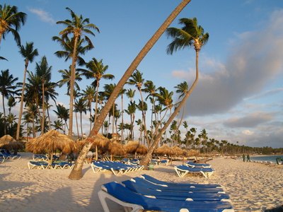 Sand and palm trees can be included in your tropical wedding party decor