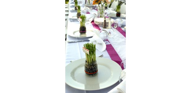 Cheap Creative Centerpieces