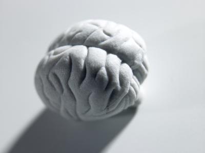 styrofoam brain