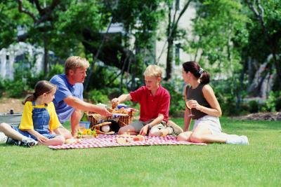 family picnic games