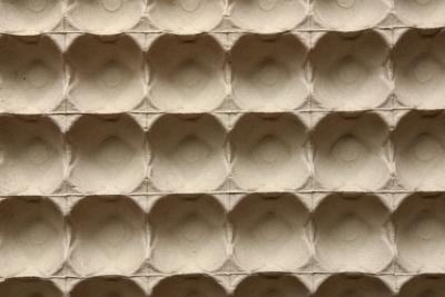Egg Boxes Soundproofing