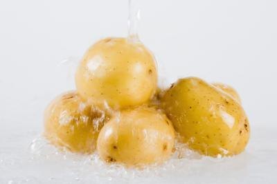 osmosis potato experiment