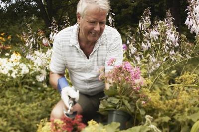 How Do I Improve Bad Soil for Gardening? | eH