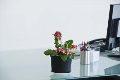 Home Office Consignment on Decorating Tips For A Small Office Desk In The House Ehow Com