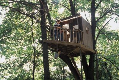 House Design Ideas on Tree House Will Become A Gathering Place For Kids And Their Friends