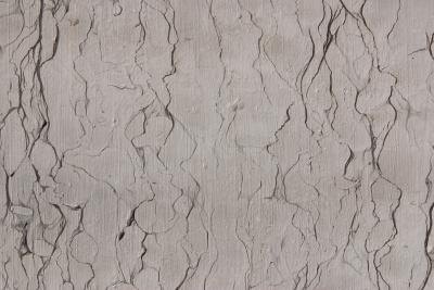 Dry Plaster