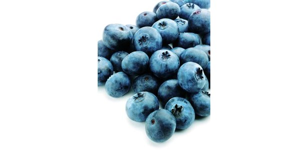 Top Hat Blueberries