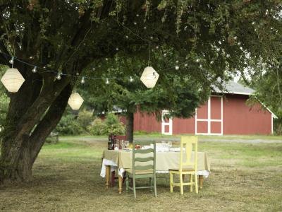 Paper lanterns add a vintage feeling to an outdoor party Bridal showers are