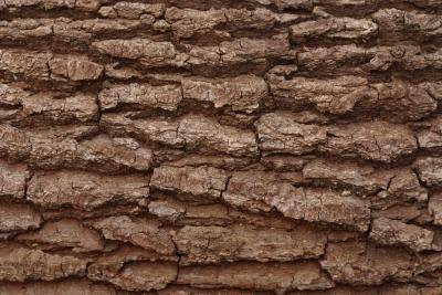 Faux Tree Bark