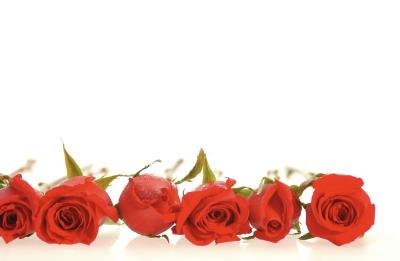 Rose Centerpiece on How To Make A Centerpiece From Rose Heads Ehow Com