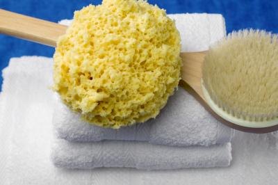 Baby Bathing Sponge on Structure Of Bath Sponges   Ehow Com