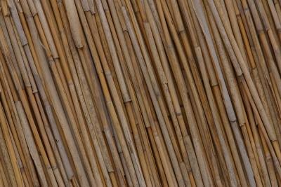 Bamboo Sticks Decor