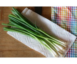 How to Freeze Green Onions (Photo: Bryan SanderDemand Media)