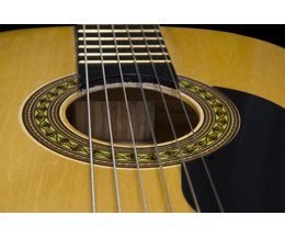 takamine guitar serial number lookup