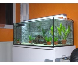 Aquarium stands can be simple cabinets. (Photo: Aquarium image by 