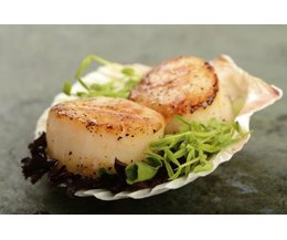 the best ways to cook scallops with pictures ehow the best ways to cook scallops with pictures ehow
