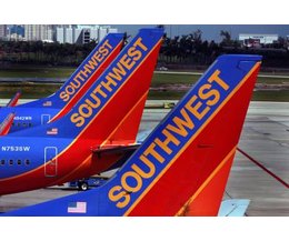southwest airline pet weight limit southwest airline pet weight limit