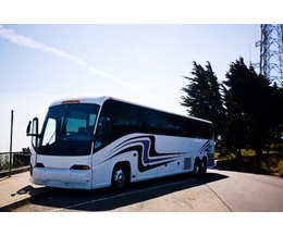 greyhound bus baggage allowance