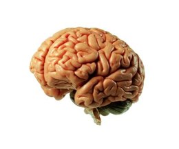 Ssri to treat brain fog image 2