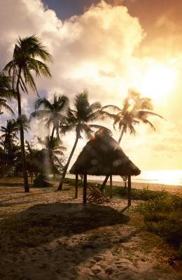 How to Thatch a Palapa