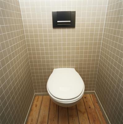 Elevation of a Wall-Mounted Toilet