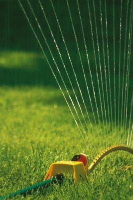 Home Improvement and Installing a Lawn Sprinkler