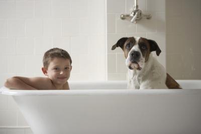 All About Dogs: Can You Use Human Conditioner on Dog?