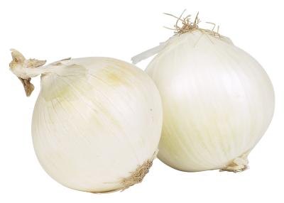 Signs and Symptoms of a Cat That Ingested Onion and Garlic