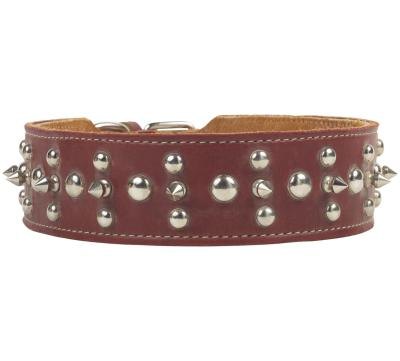 Spiked Collars meant for Dogs